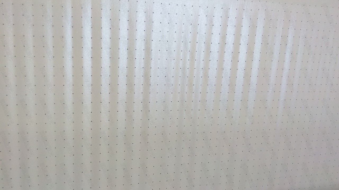 100122861.jpg